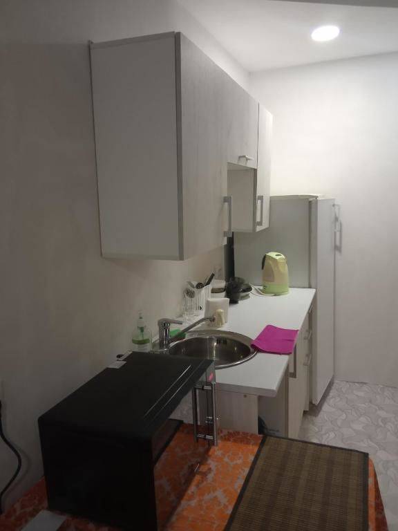 Фотографии номера Двухместный номер с 2 отдельными кроватями, вид на сад в Гостевом доме Guest House on Frunze Полоцк